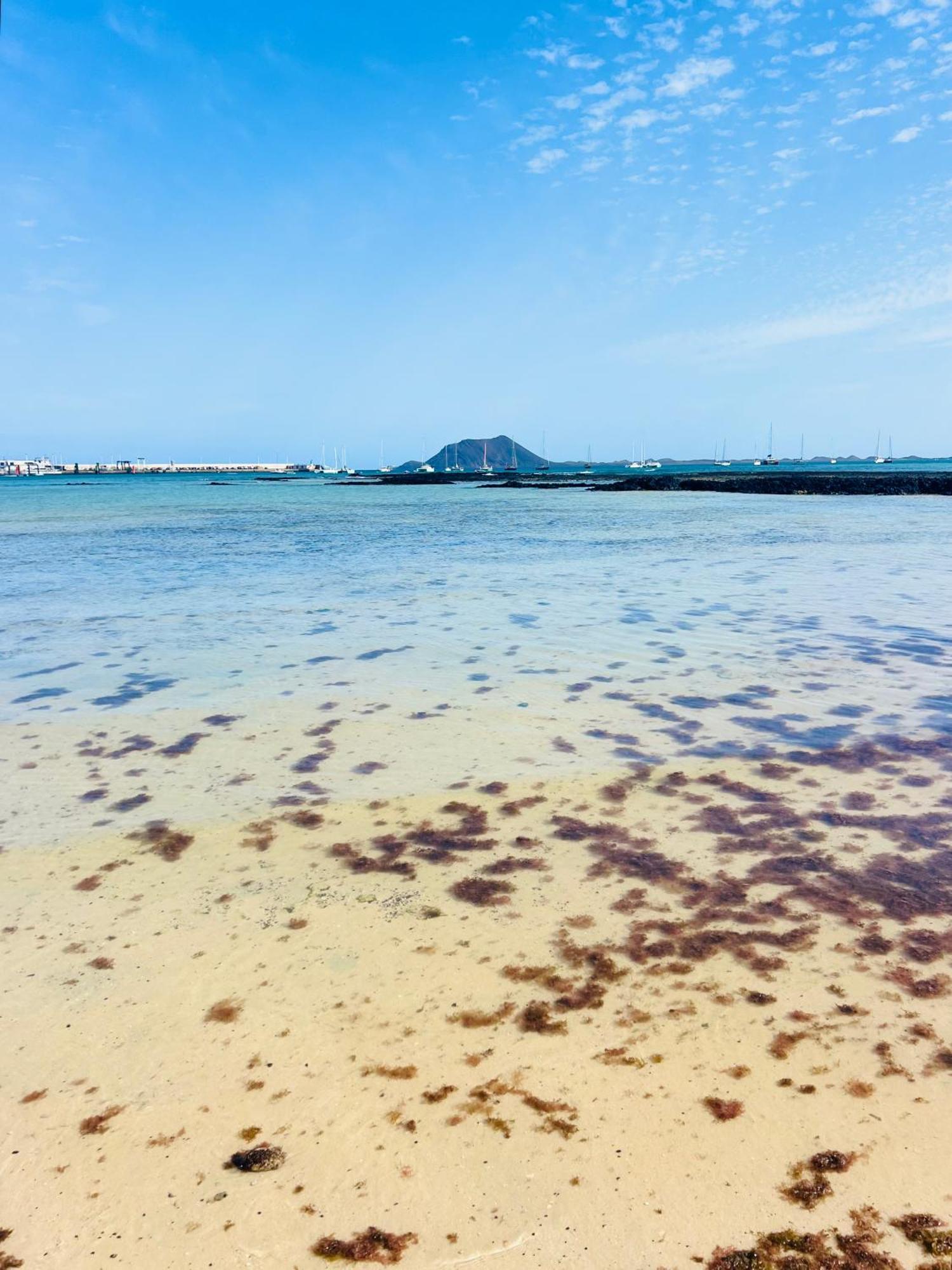 Apartamento Sea View *